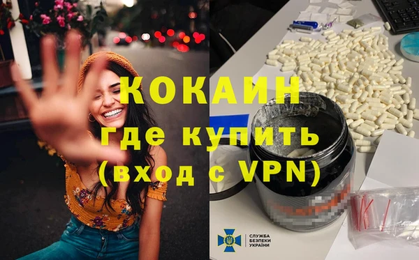 ешки Дмитриев