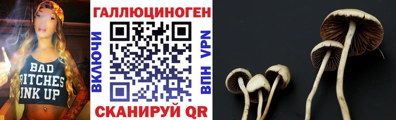 Купить закладки  Кимры  Псилоцибиновые грибы мицелий 